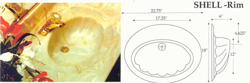 Shell/Rim Bowl